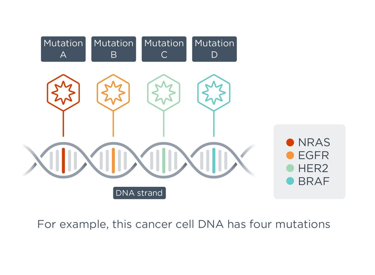 Roche Foundation Medicine Cancer testing
